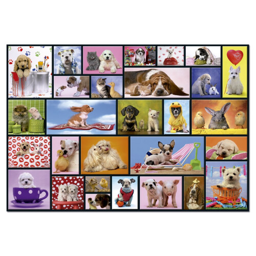 Puzzle Educa Moments Partagés 1