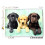 Clementoni Tre puzzle Labrador 1000 pezzi per adulti 4