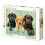 Clementoni Tre puzzle Labrador 1000 pezzi per adulti 3
