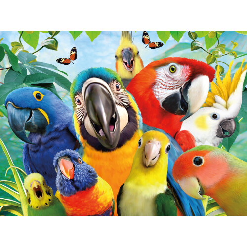 Ceaco - Selfie - Pappagallo Perfetto - Puzzle da 500 pezzi 1