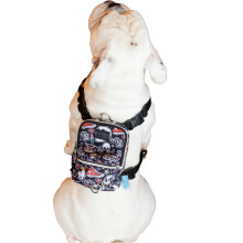 Imbracatura per zaino per cani Pawlook - Street Smart | Impermeabile regolabile traspirante - Attacco al guinzaglio con anelli a D Tasca per bors