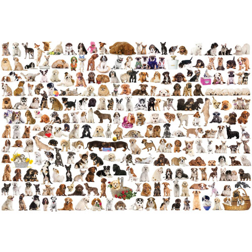 EuroGraphics Le Monde des Chiens Puzzle (2000 Pièces) 1