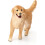 Schleich Schleich Farmwelt Golden Retriever Weibchen 2
