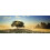 Heye HY29901 Puzzle en Bois 2