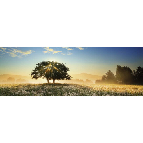 Heye HY29901 Puzzle en Bois 1