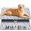 Hompet Wasbare Plaspads voor Honden, 34"x21", 2-Pack Dikke Herbruikbare Plaspads 1