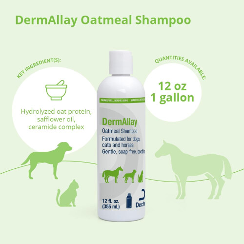 DermAllay Havermoutshampoo 12 Ounce 1