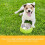123 Treats Corna di Capra per Cani - (Large, 3 Pezzi) Snack per Cani Durevoli e Naturali 4