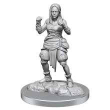 WizKids Pathfinder Deep Cuts: Halv-Alv Munk Kvinna Miniatyrer