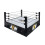 AEW - Ring 1