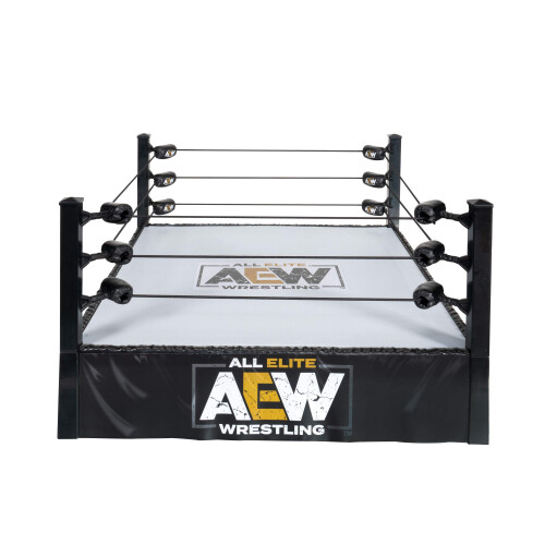 AEW - Ring 2