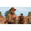 Nintendo Red Dead Redemption 5