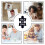 Puzzle Status Quo RockSaws 5
