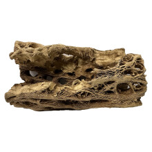 Awesome Industries Natuurlijke Cholla Wood Chunk Grote Air Plant Displayhouders Individueel unieke decoratieve standaards of houder (Cholla Chunk Lar