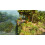 ARK: Survival Ascended ? PlayStation 5 4