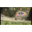 Nintendo Pikmin, New Play Control - Nintendo Wii 3