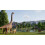 Jurassic World Evolution 3  Xbox Series X 2