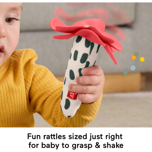 Fisher-Price Fisher-Price Shake & Rattle Busy Bee 2