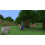 Sony Minecraft PlayStation Edition PS4 3