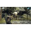 Dragon's Dogma 2 - XBX 5