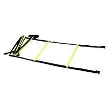 Agility Ladder,Speed Ladder,Speed Training Ladder Fixed Basketball Pace Training Jump Lattice Ladder, For Athletic Footwork, Sports Drills 2.5M