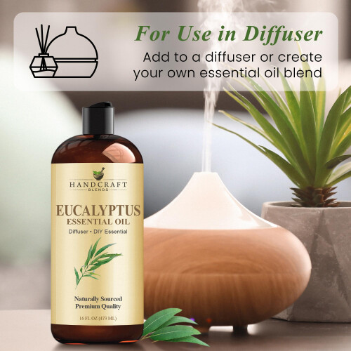 Handcraft Blends Eucalyptus Essential Oil - Huge 16 Fl Oz - for Candle Making Soap Making Diffusers and Aromatherapy 1