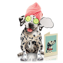 Freshcut Paper Pop Up Huisdier Kaarten, Cadeaus voor Hondenliefhebbers, Verjaardagskaarten met Accessoire
