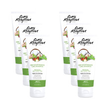 Curl Rhythm Deep Moisturizing Curl Shampoo - Shampoo voor krullend haar voor hydratatie - Met Sheaboter en Kokosnoot - Siliconen- en sulfaatvrij - 6