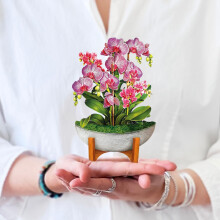Tarjetas emergentes de papel Freshcut Mini Orchid Oasis de 6 pulgadas, ramo de flores Forever de tamaρo pequeρo, tarjetas de felicitaciσn emergen