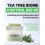 EIOM Trouble Control Pad - Korean Exfoliating Toner Pads mit Teebaum-Biome, PHA & Postbiotika 2
