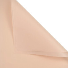 Blumen-Geschenkpapier im koreanischen Stil, Blumenstrauß, Geschenkverpackung, Floristenbedarf, 20 Stück (heller Pfirsich)
