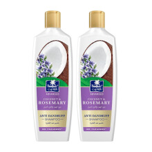 Parachute Advansed Anti-roos Rozemarijn Shampoo met Kokosnoot | Voedt het haar en ontgift de hoofdhuid | 11,4 floz | Pak van 2