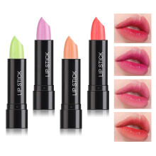 PPPanYiDi 4PCS Set lucidalabbra che cambiano colore Set di labbra colorate impermeabili Rossetto magico che cambia colore per donne e uomini Set
