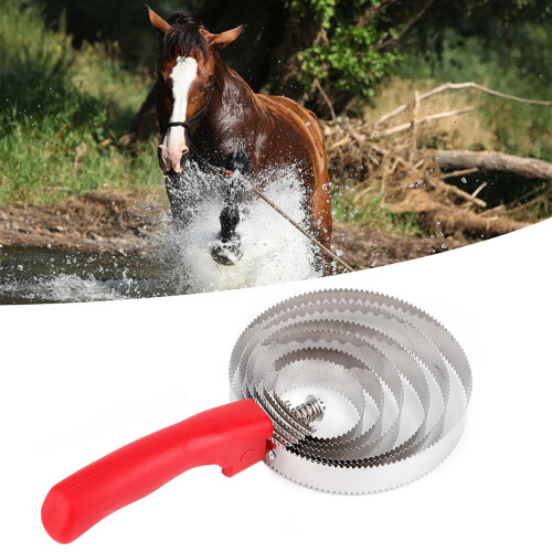 Easy-Grip Stainless Ring Horse Brush for Improved Blood Circulation 2