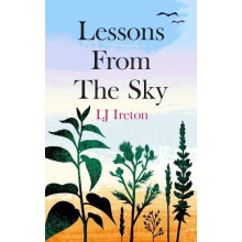 Lessons From the Sky by LJ Ireton Paperback Book