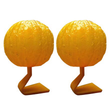 2pcs Fruit Fly Traps Non- Flying Traps Ball Sticky Traps Effective Fly Catcher Killer Fruit Fly Killer for Plants Catching Fruit