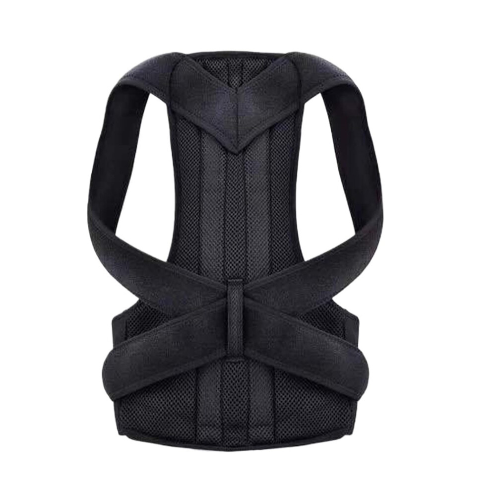 Adjustable Back Brace for Scoliosis & Hunchback - Posture Corrector with Neck & Spine Support for Adults(3XL Height 175-190cm)