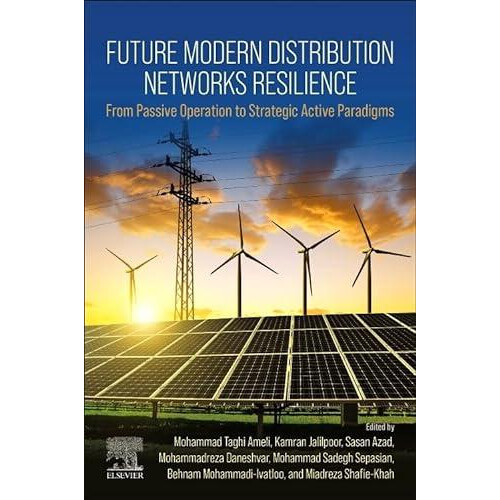 Future Modern Distribution Networks Resilience Paperback Book
