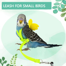Süßer Flügelvogel-Geschirr & Leine für Papageien und Tauben, 2m, 50g
