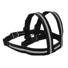 Kids Outfit | Youngster Cruiser Seat strap Electric Vehicle Wellbeing Bridle | Kid Tackle Safety belt with Handles Intelligent Strip