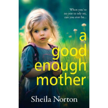 A Good Enough Mother by Sheila Norton Paperback Book