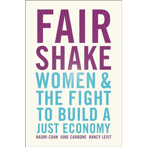 Fair Shake by Nancy Levit Hardcover Book