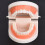 Kids Dental Teeth Brushing Model PE Material 9.5x7.5cm 3