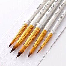 5 Stück Professionelle Wasserfarbe Acryl Öl Pinsel Set mit Nylonhaaren