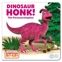 The World of Dinosaur Roar Dinosaur Honk The Parasaurolophus Book 9 by
