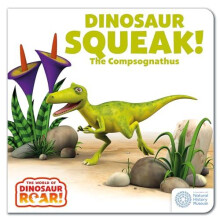 The World of Dinosaur Roar Dinosaur Squeak The Compsognathus Book 10 b