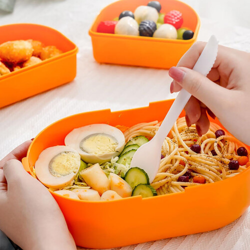 Bento Box με σχέδιο κινουμένων σχεδίων, Δοχείο αποθήκευσης γευμάτων διπλής στρώσης, 2