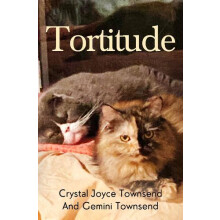 Tortitude by Crystal Joyce Townsend Paperback Book