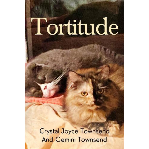 Tortitude by Crystal Joyce Townsend Paperback Book