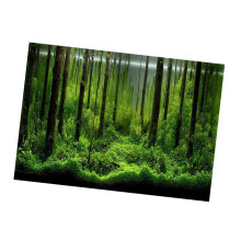 PVC Underwater Forest Background 61x41cm Poster for Aquarium Decoration
